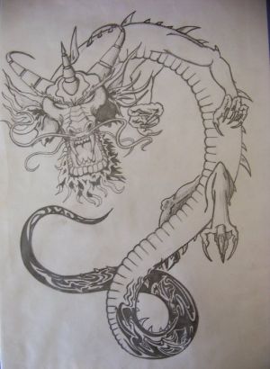 Dragon tattoos, Chinese dragon tattoos, Tattoos of Dragon, Tattoos of Chinese dragon, Dragon tats, Chinese dragon tats, Dragon free tattoo designs, Chinese dragon free tattoo designs, Dragon tattoos picture, Chinese dragon tattoos picture, Dragon pictures tattoos, Chinese dragon pictures tattoos, Dragon free tattoos, Chinese dragon free tattoos, Dragon tattoo, Chinese dragon tattoo, Dragon tattoos idea, Chinese dragon tattoos idea, Dragon tattoo ideas, Chinese dragon tattoo ideas, Dragon